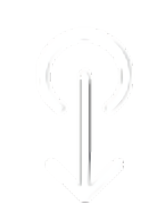 Scroll Down Icon